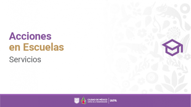 Acciones en escuelas