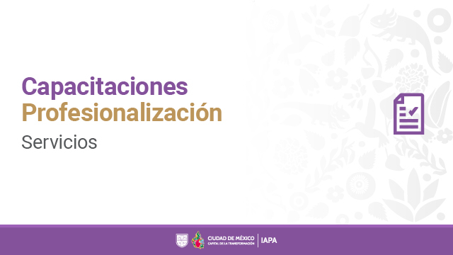 Capacitaciones - Profesionalización